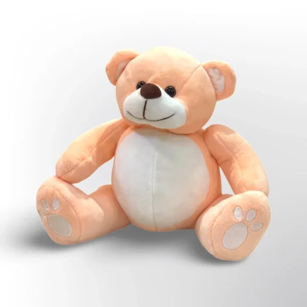 Koala Bear - Image 2